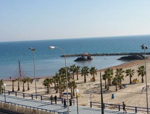 arena pla</div>
					<div class=