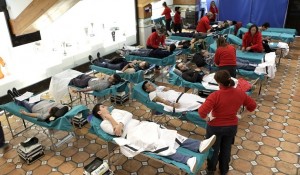 donacion sangre