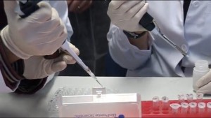 fisabio test caries