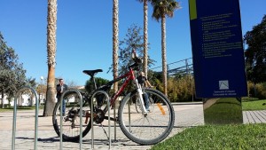 universidad Alicante