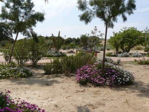 Guardamar jardin