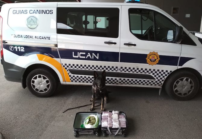 El perro de la Unidad Canina junto a la droga intervenida.