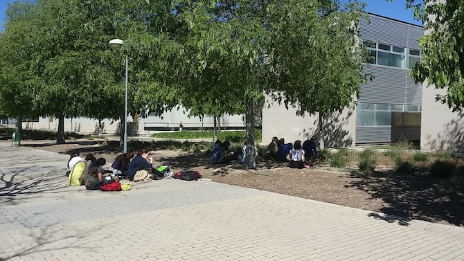 Varios estudiantes, en unas prácticas en el campus de la Universidad de Alicante. / A.P.