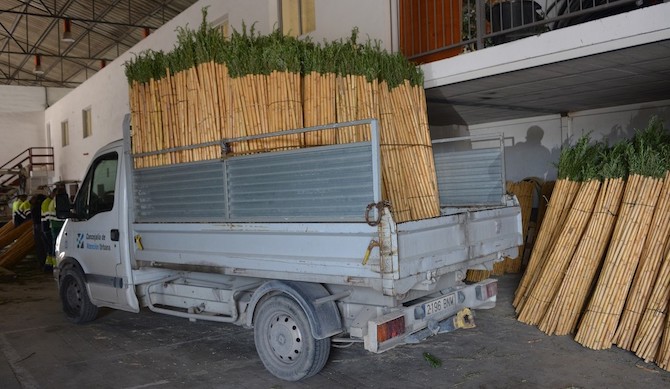 Cañas preparadas para ser repartidas en la romería a la Santa Faz.