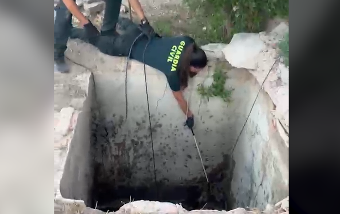 Un zorro sobrevive tras caer en un pozo de 4 metros en Aspe
