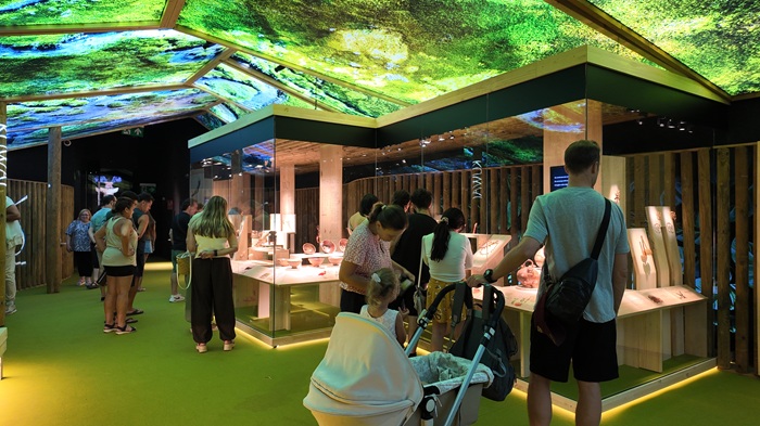La exposición sobre el oro indígena de Colombia reúne cerca de 19.000 visitas en su primer mes