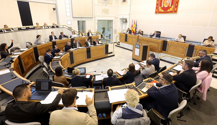 El pleno de la Diputación se suma al Día Internacional para la eliminación de la violencia contra la mujer